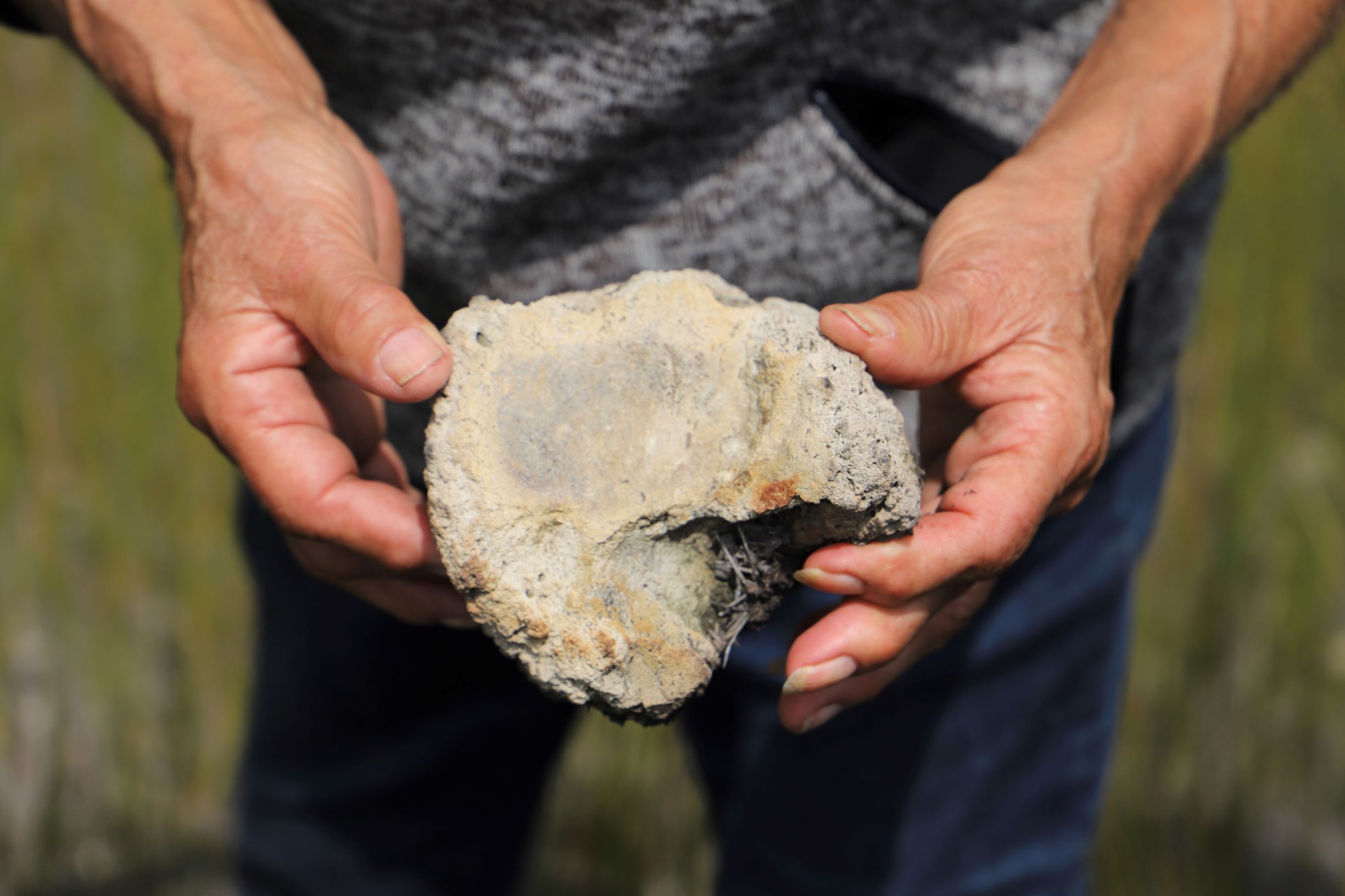 Secrets rise from the mud at Ballogup South Coast Natural Resource