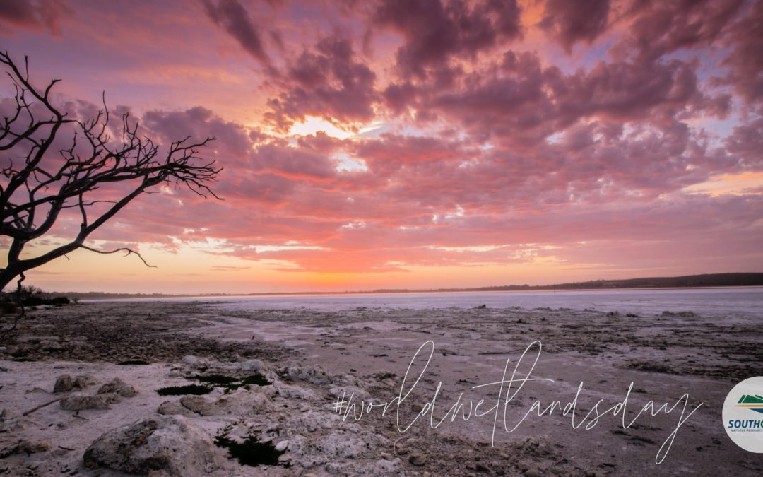 WORLD WETLANDS DAY