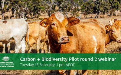 Carbon + Biodiversity Pilot Round 2 webinar