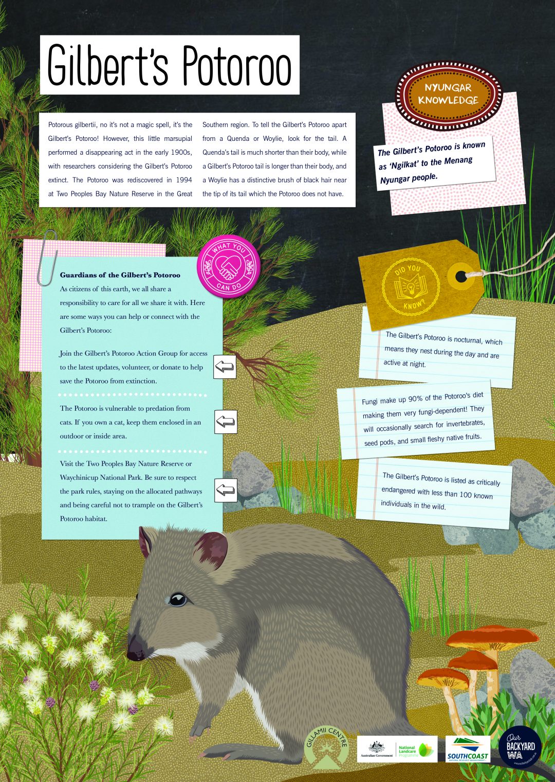 NATIONAL GILBERT’S POTOROO DAY South Coast Natural Resource Management