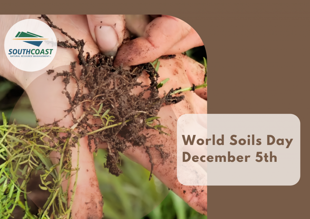 CELEBRATING WORLD SOILS DAY South Coast Natural Resource Management