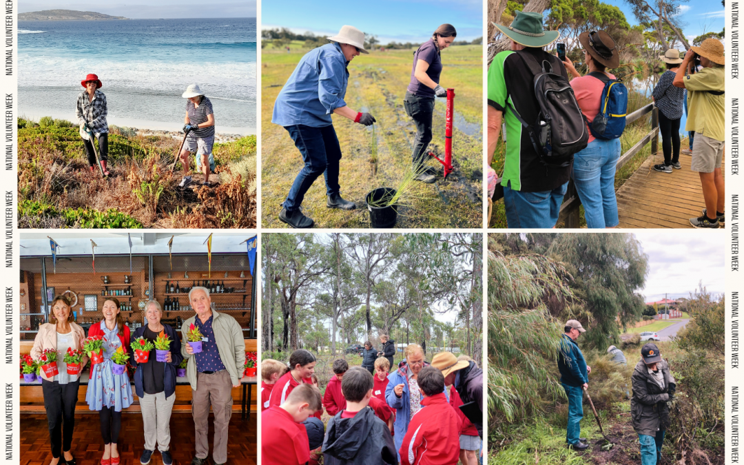 SOUTH COAST ENVIRO EXPERIENCES CELEBRATES NATIONAL VOLUNTEER WEEK