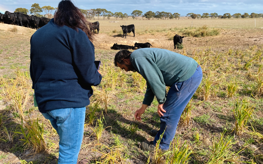 CONNECTING WITH THE LAND