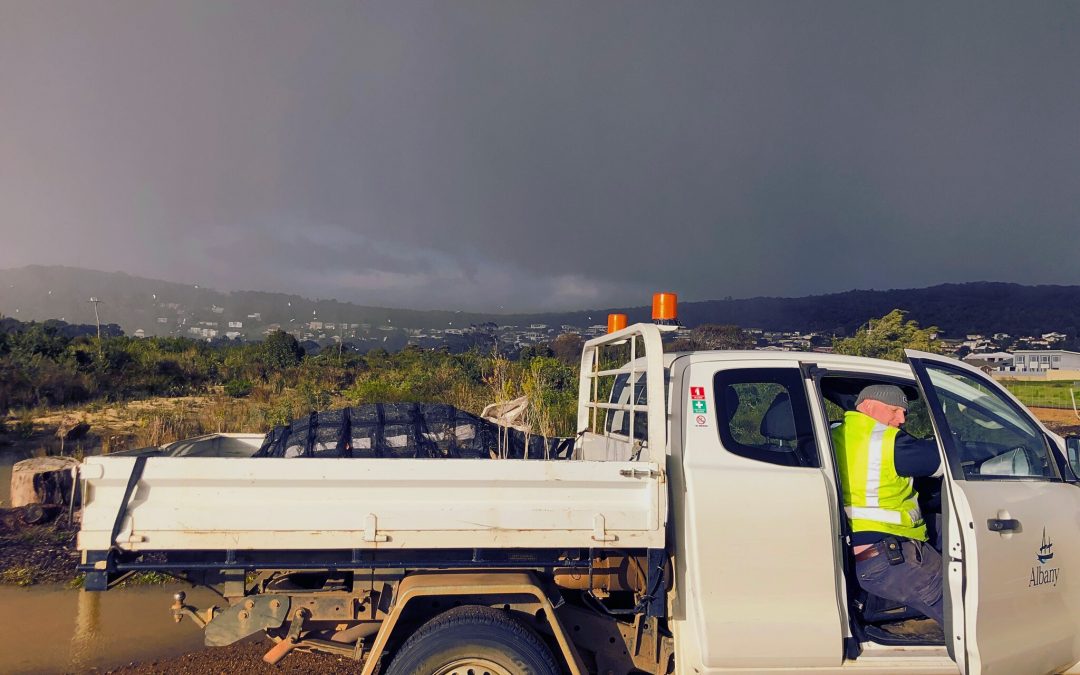 Enviro volunteers shine in torrential rain