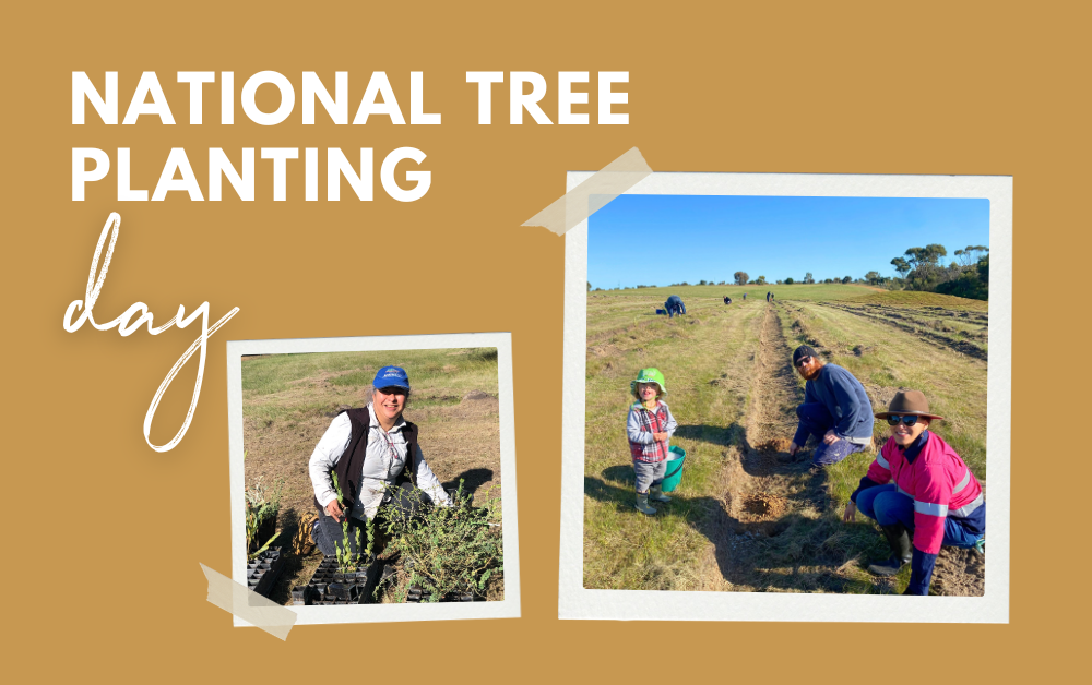 National tree planting day success at Monjingup Lake