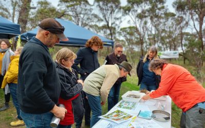 Celebrating Lake Matilda and 40 years of landcare in WA