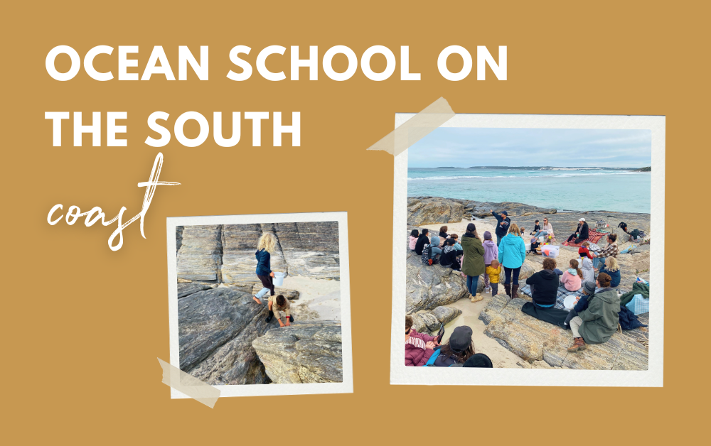 An enthusiastic start to ocean school on the south coast