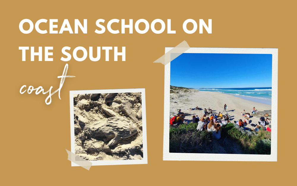 Esperance kids take on waves of knowledge from ocean school