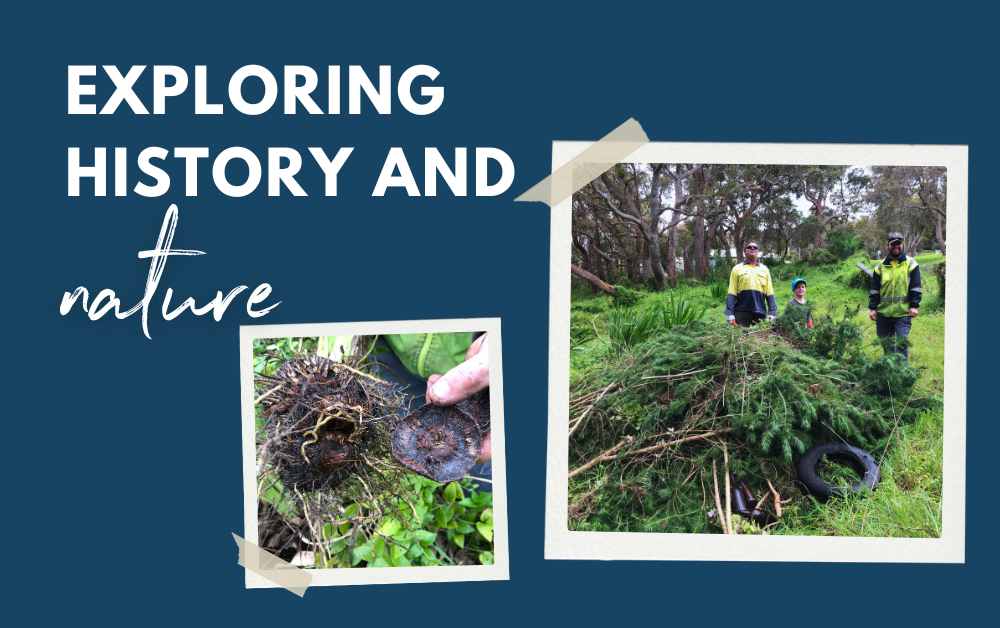 Exploring history and nature at Forts Reserve