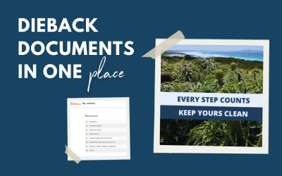 NO MORE SEARCHING FOR DIEBACK DOCUMENTS