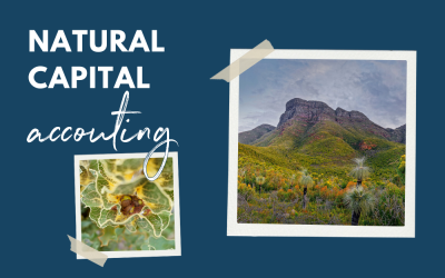 VALUING NATURES WORTH: NATURAL CAPITAL ACCOUNTING ON THE SOUTH COAST