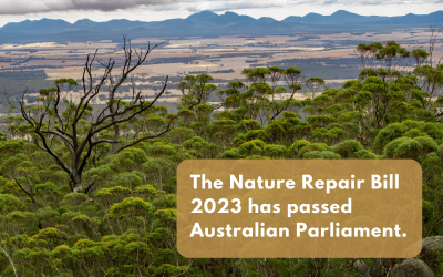 A win for the environment with passing of Nature Repair Bill 2023