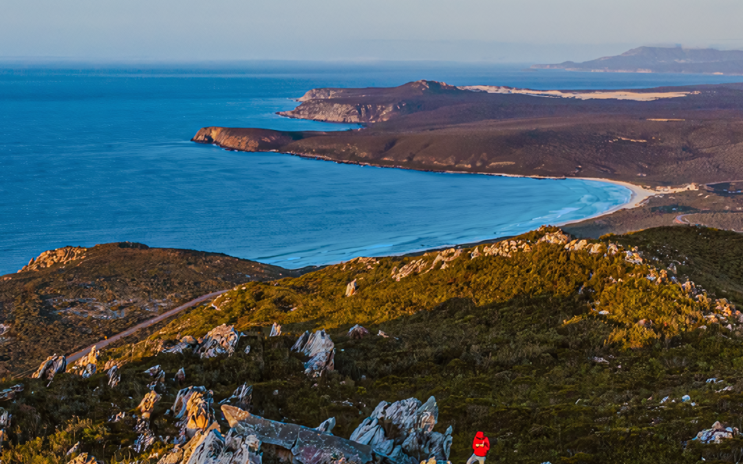 Joe Heffernan to lead natural capital development across the South Coast region