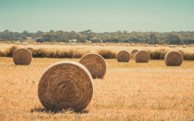 Preserving fodder, for on-farm climate variability resilience