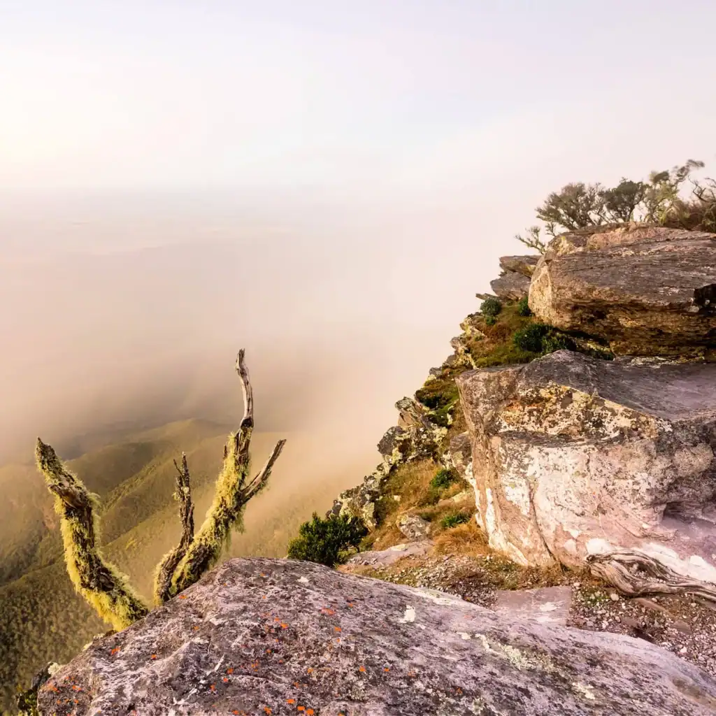 Rocky cliff edge with sparse vegetation, overlooking a misty valley and tree branches in the foreground.