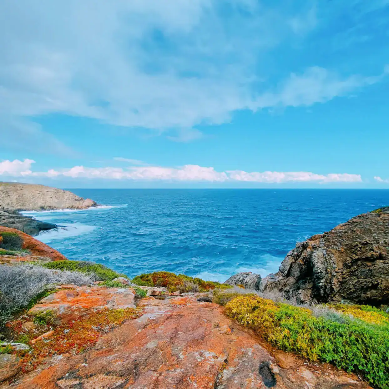 Rocky coastline with colorful vegetation overlooking a deep blue ocean under a partly cloudy sky.