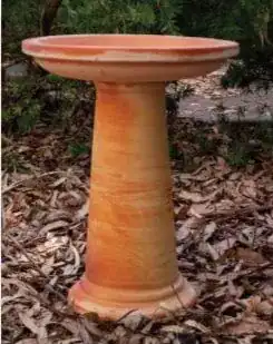 A terracotta bird bath standing on dry leaves in a garden.