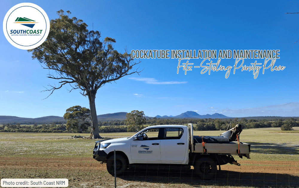 White utility lorry parked in a grassy field with mountains and a large tree in the background under a blue sky.