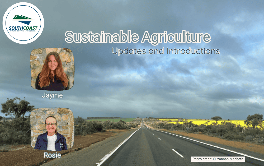 Rural carriageway with fields and cloudy sky, featuring Jayme and Rosie’s portraits for a sustainable agriculture event.