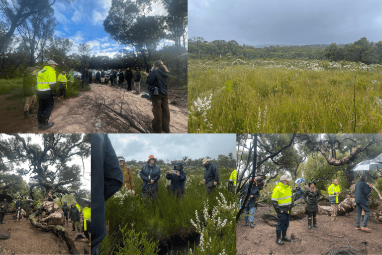 People in high-visibility vests and jackets tour a natural bushland area under cloudy skies.