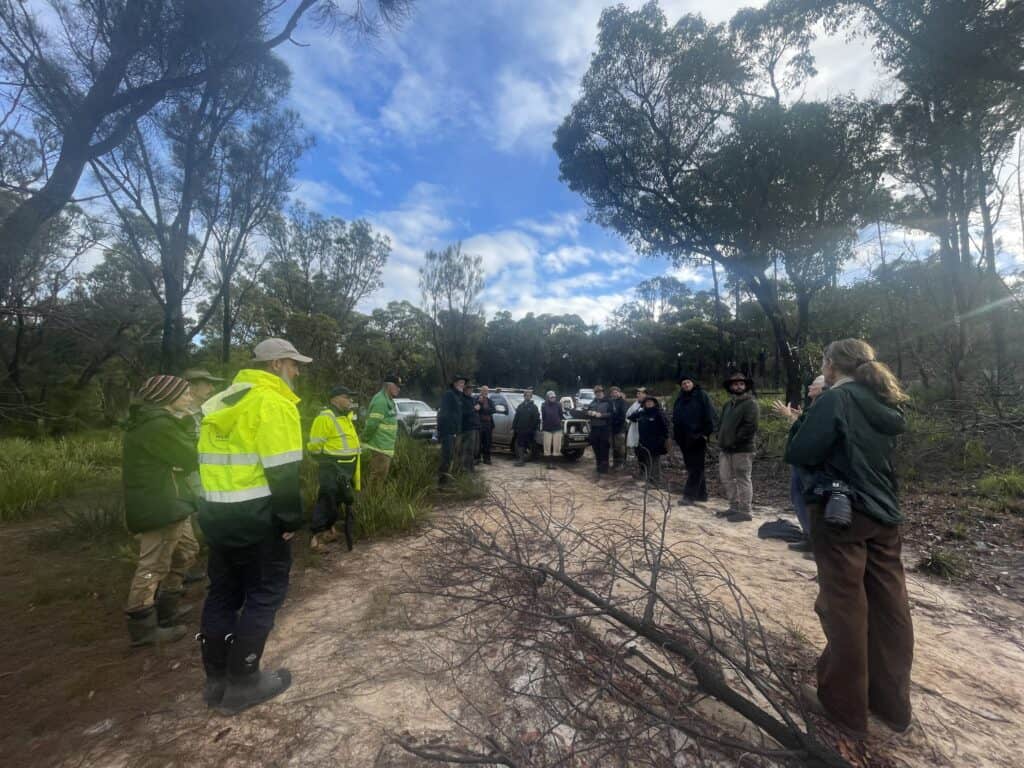 A group of people stands on a forest path surrounded by trees, some wearing bright safety jackets.