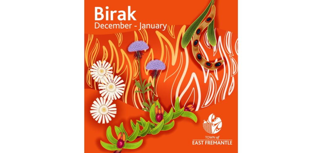 Bright floral illustration on orange background with “Birak December–January, Town of East Fremantle” text.
