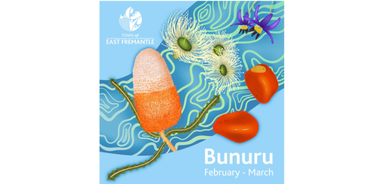 Native Australian flowers and fruits on a blue background, text reads “Bunuru February - March.”.