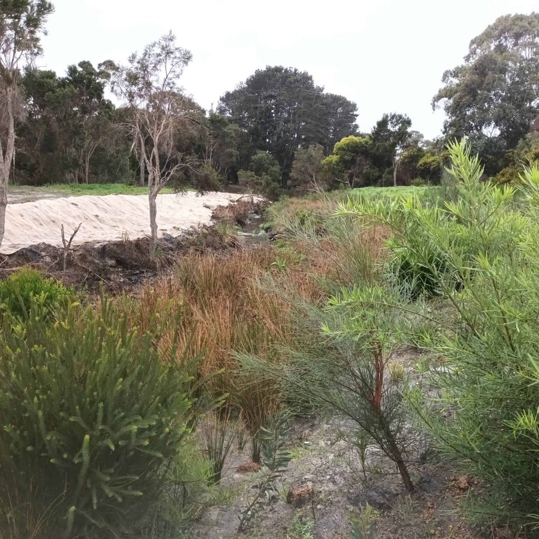 A sandy path runs beside dense green shrubs and trees under a cloudy sky.
