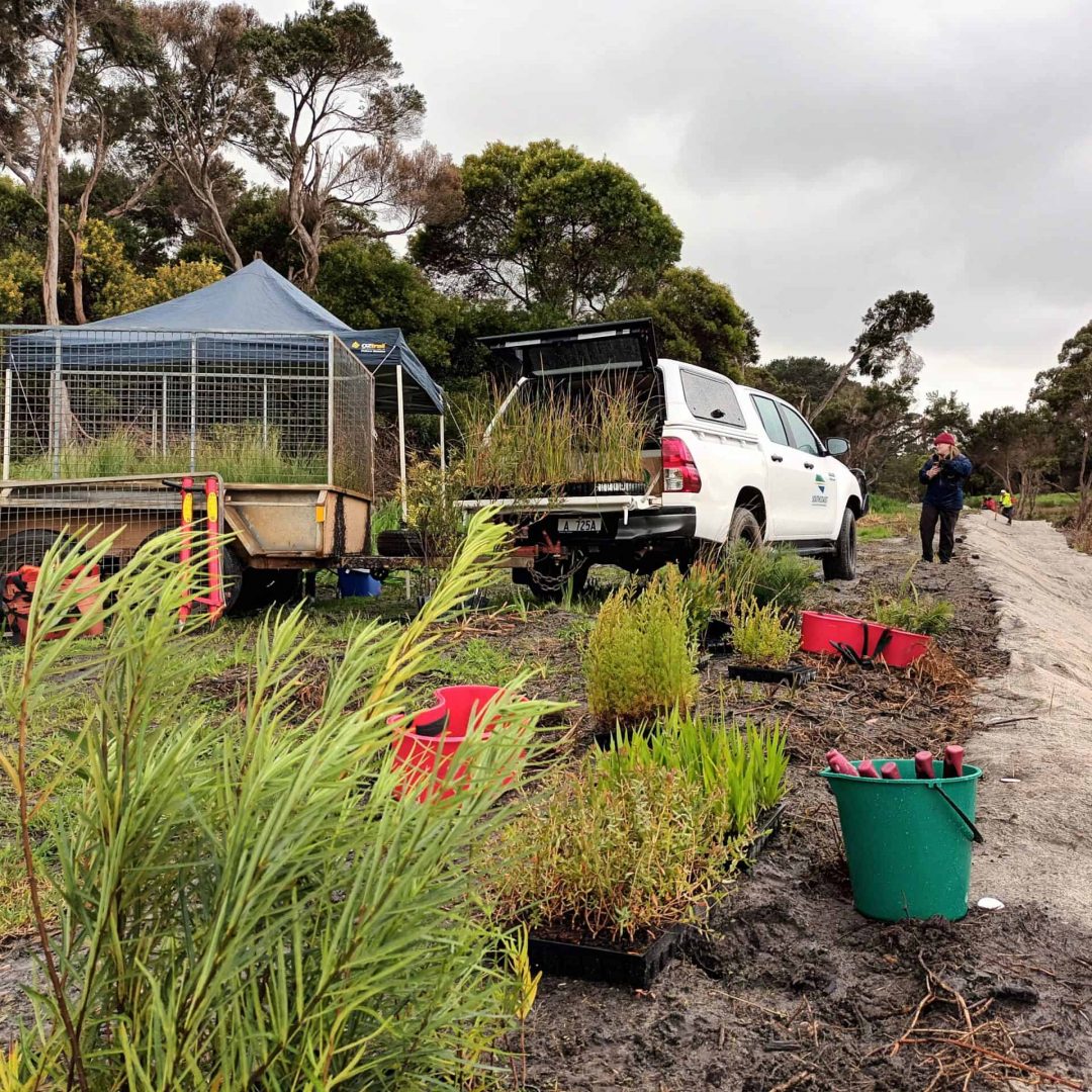 People unloading plants and equipment from a truck beside a tent in a bushland area on a cloudy day.