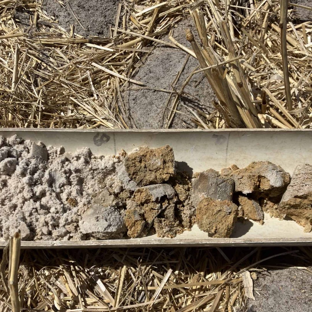 A soil core sample showing different soil layers on a tray, set on straw-covered ground.