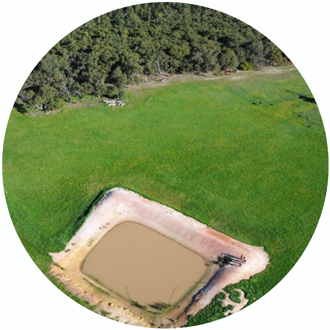 Aerial view of a small, rectangular pond near green grass and a forested area.