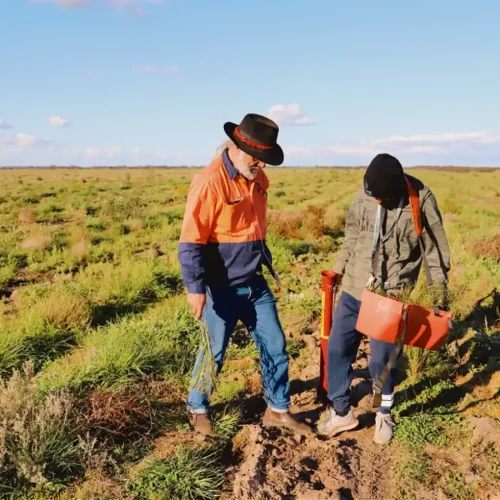 Two people in work clothes examine soil in a grassy field under a blue sky.