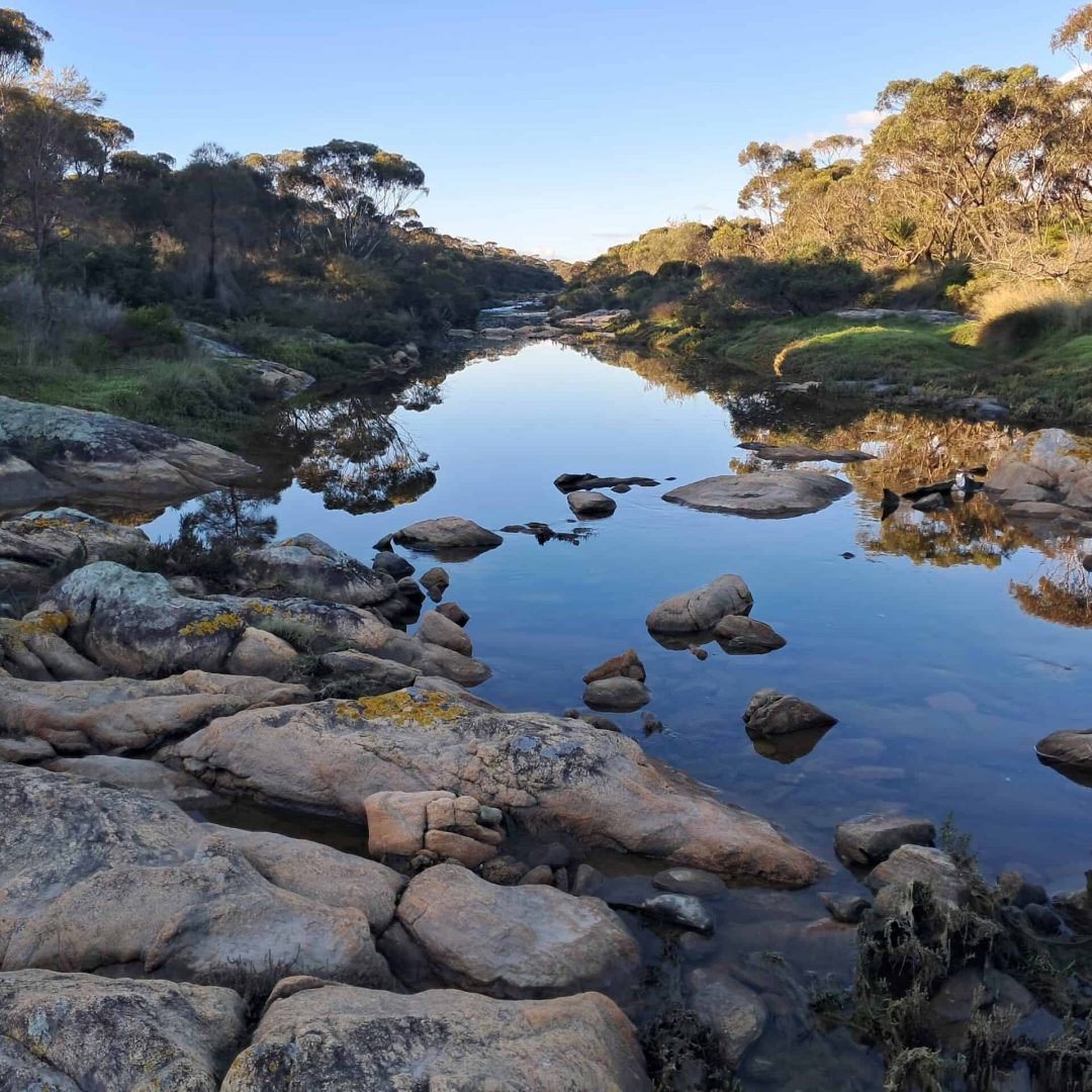 A rocky creek with calm water reflecting trees and blue sky, surrounded by bushland.